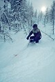 Doug Ritchie cruising the trees on a cold day.<br />Lake Louise, 1990.