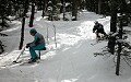 Kevan and Doug cruising through the Lookout trees. <br />Lake Louise, Alberta. April, 2003.