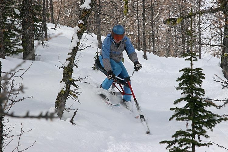 Kevan in the trees...